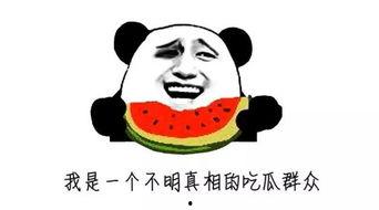 安心吃瓜的视频,揭秘热门视频背后的真相与笑料