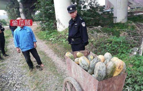 汝南吃瓜事件真相最新视频,视频还原惊人内幕