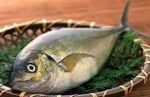 吃瓜群众喂鱼视频大全,欢乐瞬间尽收眼底