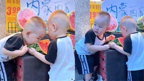 双胞胎大型吃瓜视频,揭秘幕后真相与趣味瞬间