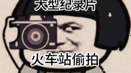 吃瓜老实人接盘视频大全,笑料百出，揭秘网络恶搞文化