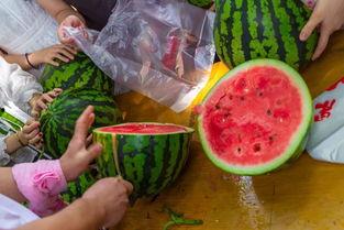 网上教学吃瓜视频,揭秘线上教学中的趣味瞬间