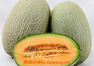 哈密瓜怎么切开送人吃视频,视频教学轻松切开分享美味