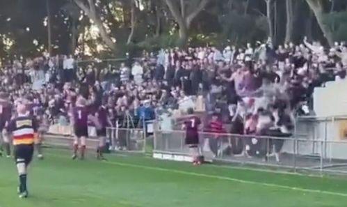 体育场看台吃瓜视频,一场别开生面的“吃瓜”盛宴