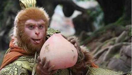 悟空吃瓜事件视频播放下载,视频播放下载背后的热议与揭秘