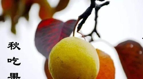 七月最后一天吃瓜视频