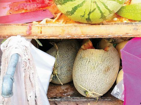 西沙瓜怎么切块吃视频,轻松解锁夏日清新美味