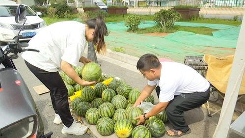 自由吃瓜群视频,揭秘热门视频背后的故事与笑料