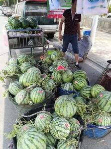 麻城吃瓜事件视频最新,一场网络热议背后的真相与反思