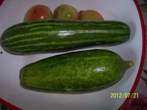 江西古茗吃瓜事件视频,一场引发网友热议的食品安全风波