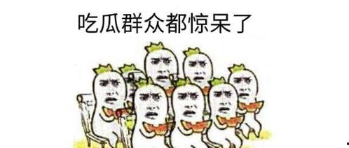 亮哥吃瓜群众视频播放,揭秘热门视频背后的故事